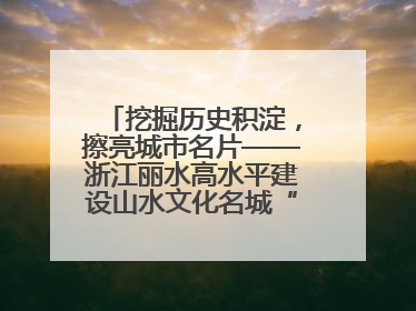挖掘历史积淀，擦亮城市名片——浙江丽水高水平建设山水文化名城“闯出”创新之路