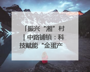 振兴“湘”村｜中路铺镇：科技赋能“金蛋产业” 全链驱动乡村振兴