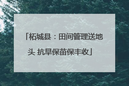 柘城县：田间管理送地头 抗旱保苗保丰收