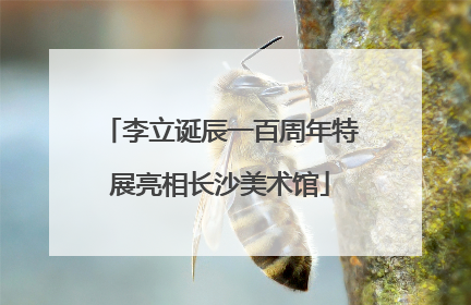 李立诞辰一百周年特展亮相长沙美术馆