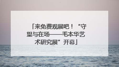 来免费观展吧！“守望与在场——毛本华艺术研究展”开幕