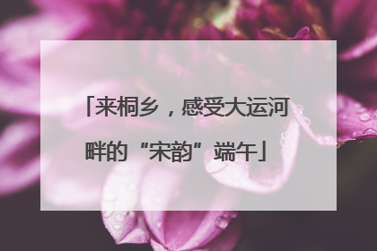 来桐乡，感受大运河畔的“宋韵”端午
