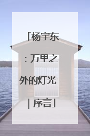 杨宇东：万里之外的灯光｜序言