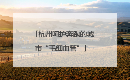杭州呵护奔跑的城市“毛细血管”