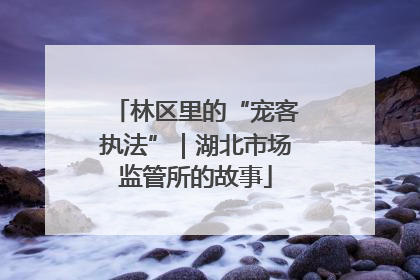 林区里的“宠客执法”｜湖北市场监管所的故事