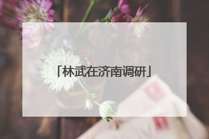 林武在济南调研