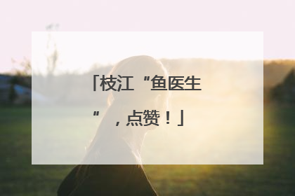 枝江“鱼医生”，点赞！