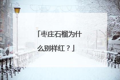 枣庄石榴为什么别样红？