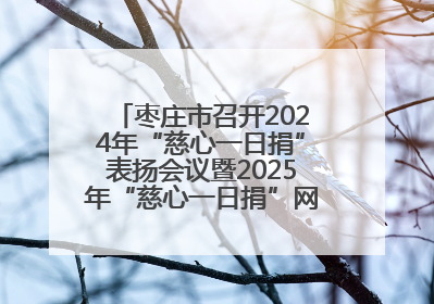 枣庄市召开2024年“慈心一日捐”表扬会议暨2025年“慈心一日捐”网络募捐动员会议