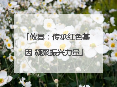 攸县：传承红色基因 凝聚振兴力量