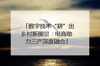 数字技术“耕”出乡村新图景：电商助力三产深度融合
