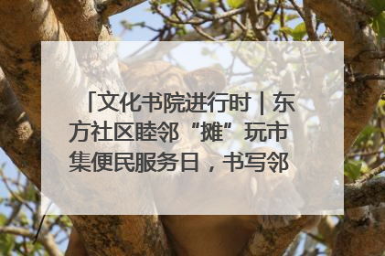文化书院进行时｜东方社区睦邻“摊”玩市集便民服务日，书写邻里共生新篇章