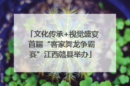 文化传承+视觉盛宴 首届“客家舞龙争霸赛”江西赣县举办