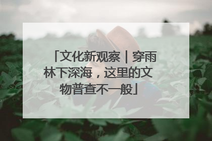 文化新观察｜穿雨林下深海，这里的文物普查不一般