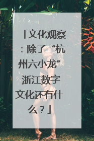 文化观察：除了“杭州六小龙” 浙江数字文化还有什么？