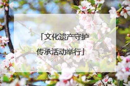 文化遗产守护传承活动举行