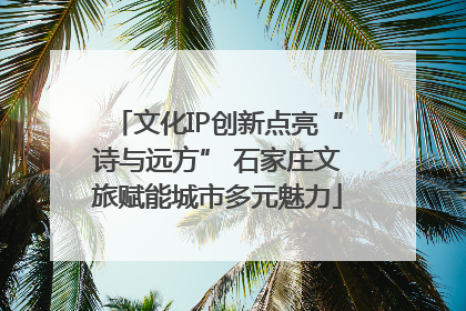 文化IP创新点亮“诗与远方” 石家庄文旅赋能城市多元魅力