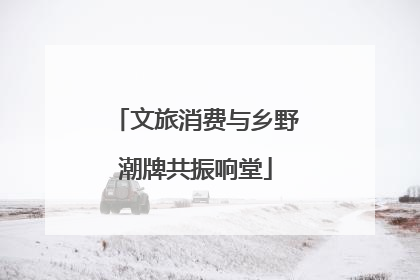 文旅消费与乡野潮牌共振响堂
