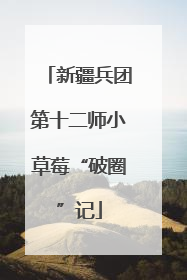 新疆兵团第十二师小草莓“破圈”记