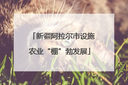 新疆阿拉尔市设施农业“棚”勃发展