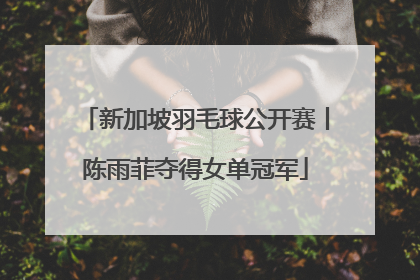 新加坡羽毛球公开赛丨陈雨菲夺得女单冠军