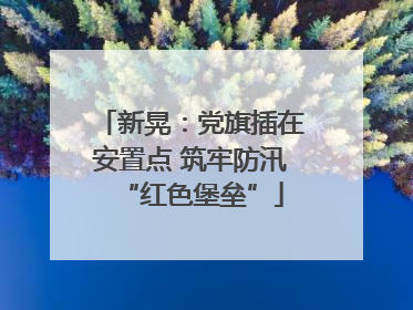 新晃：党旗插在安置点 筑牢防汛“红色堡垒”