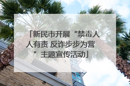 新民市开展“禁毒人人有责 反诈步步为营”主题宣传活动