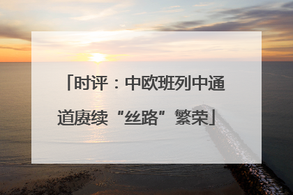 时评：中欧班列中通道赓续“丝路”繁荣