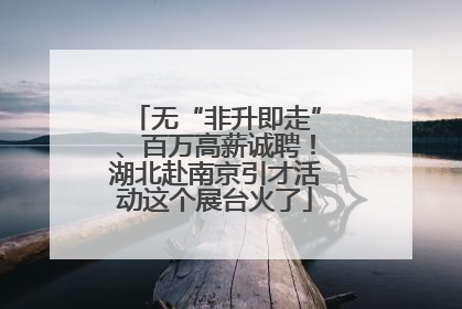 无“非升即走”、百万高薪诚聘！湖北赴南京引才活动这个展台火了