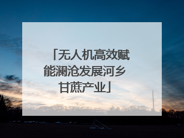 无人机高效赋能澜沧发展河乡甘蔗产业