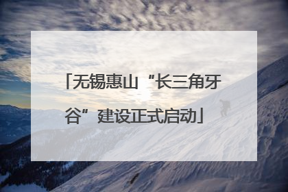 无锡惠山“长三角牙谷”建设正式启动
