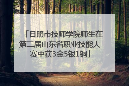 日照市技师学院师生在第二届山东省职业技能大赛中获3金5银1铜