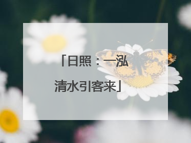 日照：一泓清水引客来