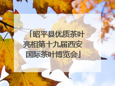 昭平县优质茶叶亮相第十九届西安国际茶叶博览会