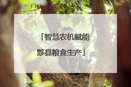 智慧农机赋能黟县粮食生产
