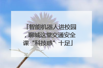 智能机器人进校园，聊城这堂交通安全课“科技感”十足