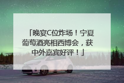 晚宴C位炸场！宁夏葡萄酒亮相西博会，获中外嘉宾好评！
