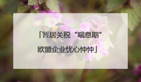 暂居关税“喘息期” 欧盟企业忧心忡忡