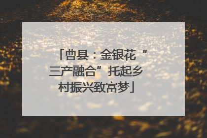 曹县：金银花“三产融合”托起乡村振兴致富梦
