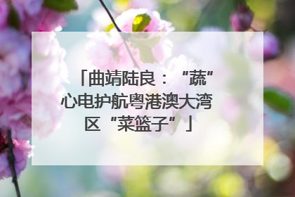 曲靖陆良：“蔬”心电护航粤港澳大湾区“菜篮子”