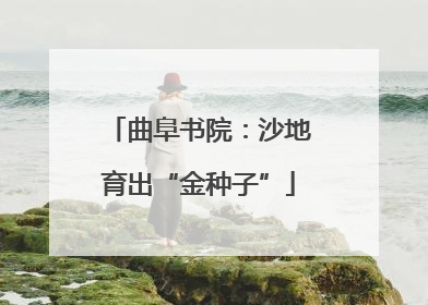 曲阜书院：沙地育出“金种子”