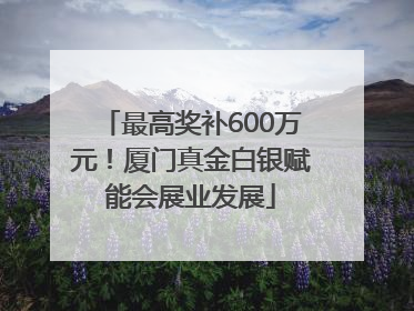 最高奖补600万元！厦门真金白银赋能会展业发展