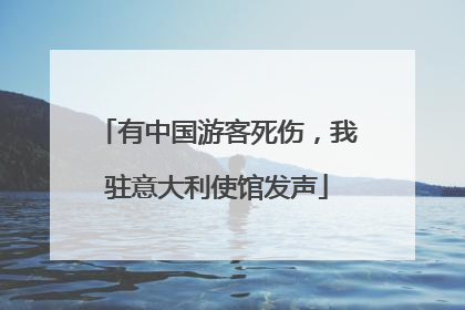 有中国游客死伤，我驻意大利使馆发声