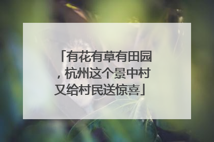 有花有草有田园，杭州这个景中村又给村民送惊喜