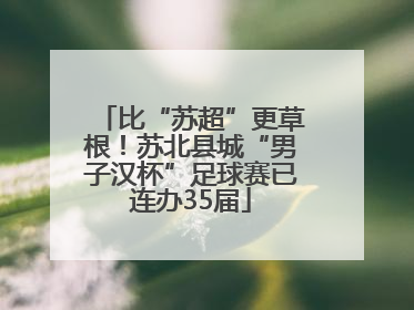 比“苏超”更草根！苏北县城“男子汉杯”足球赛已连办35届