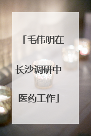 毛伟明在长沙调研中医药工作