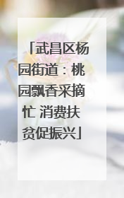武昌区杨园街道：桃园飘香采摘忙 消费扶贫促振兴
