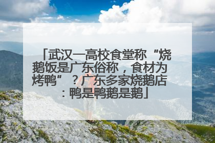 武汉一高校食堂称“烧鹅饭是广东俗称，食材为烤鸭”？广东多家烧鹅店：鸭是鸭鹅是鹅