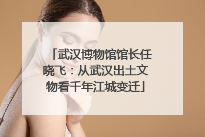 武汉博物馆馆长任晓飞：从武汉出土文物看千年江城变迁