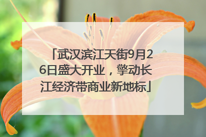 武汉滨江天街9月26日盛大开业，擎动长江经济带商业新地标
